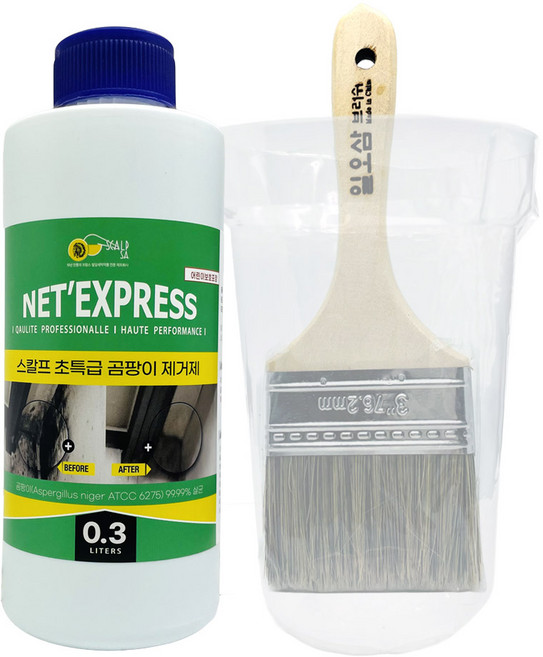 완전해결 곰팡이제거제 300ml+붓+소분컵 곰팡이제거제 벽지 베란다 창고, 1개, 300ml