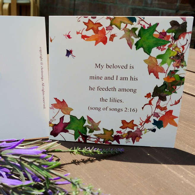 디알레 그림카드 축하카드, 30개, 아이비