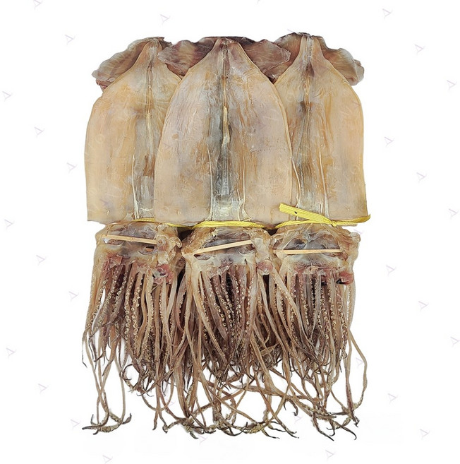 염분을제거한 국내가공 저염 마른 오징어 건오징어 20마리 1축, 저염 1.5kg 내외(1개), 1개