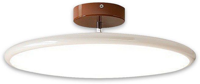 LADUTA 全光譜LED吸頂燈 45CM 三色變光, 無極調光【全光譜】綠色-50CM