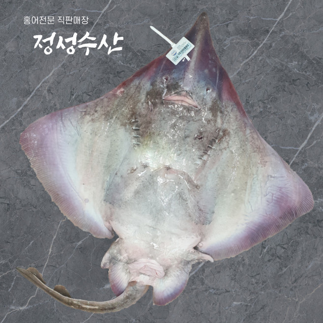 [정성수산] 흑산도 홍어 한마리 5~8kg 목포종합수산시장, 중숙성, 7kg, 통마리, 1개