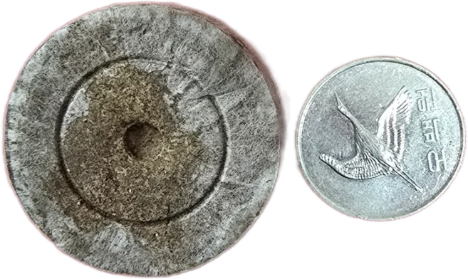 한국원예자재 지피펠렛 44mm 초보 성공하는 모종 키우기 고추 토마토 상추 허브 딸기 육묘, 10개