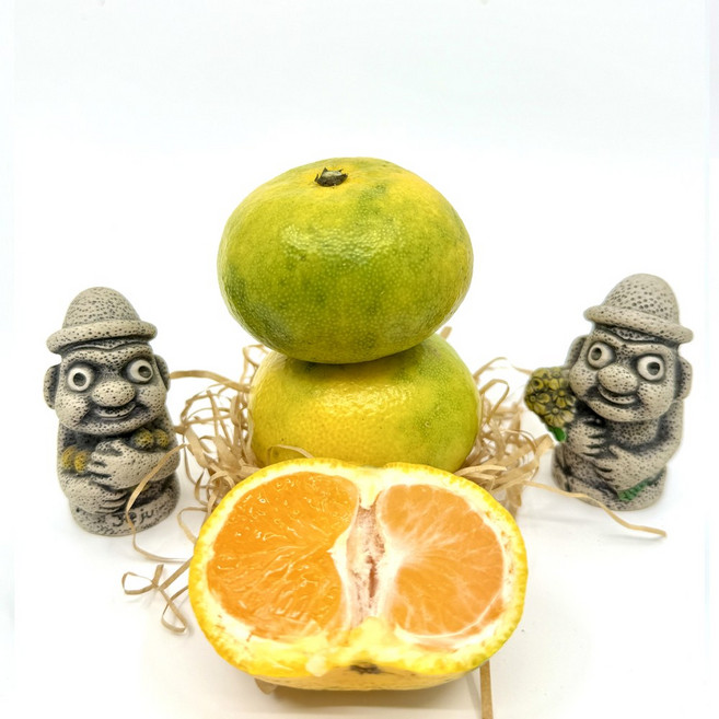 [해들애] 진지향귤 상큼한한입 비타민C가득 달콤상큼 제주 카라향귤, 1박스, 소과(2S-S) 5kg