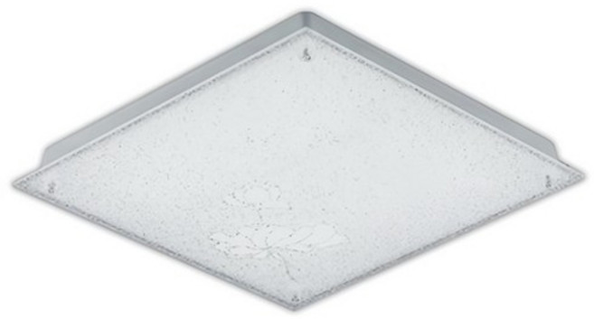 아이조명 LED 고정형 유리방등 장미 50W, 주광색