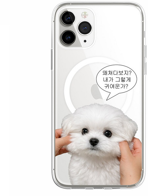 (맥세이프) 볼찌부 말티즈 강아지 맥세이프 투명 젤하드 케이스