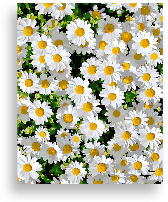 매직 페인팅 위메이크 DIY 명화그리기 세트 데이지 40x50, 1개