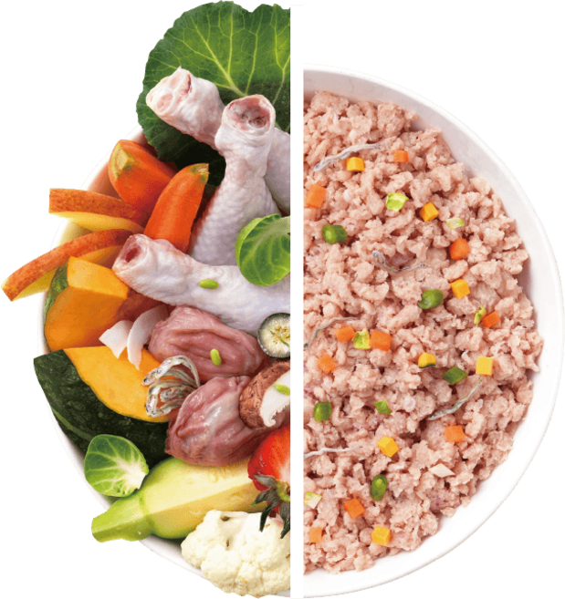 바프독 Premium CHICKEN 1kg 100g x 10팩 프리미엄 치킨 반려견 강아지 생식 자연식 단일 단백질 닭, 100g × 10팩, 10개