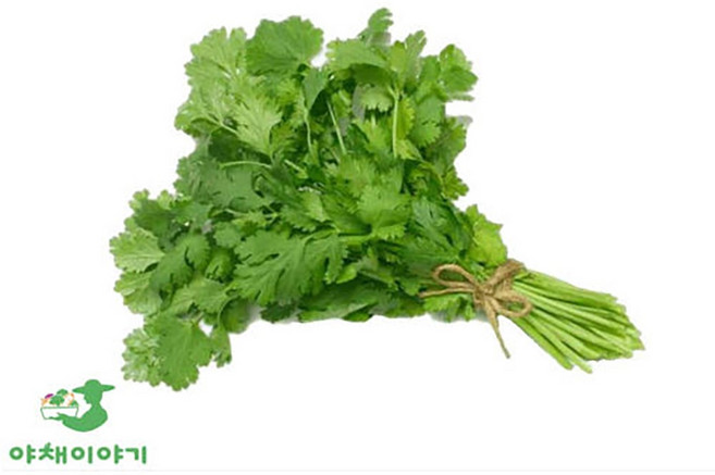 야채이야기 국내산 고수 1단 300g 내외, 1개