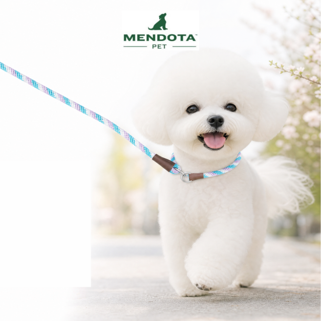 강아지리드줄 멘도타 슬립리드 1cm-1.8M(3/8인치 6피트) 애견산책줄 슬립목줄 리드줄 소형 중형견, 젤리빈, 1개
