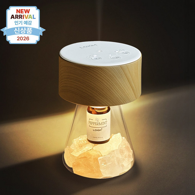 이하니 LOXIM 감성 전자 스마트 디퓨저 무드등 아로마 실내 방향제, 1개, 우드