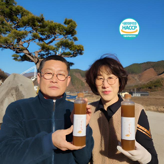 지리산 산골장터 생강청 생강진액차 생강진액, 1개, 600g