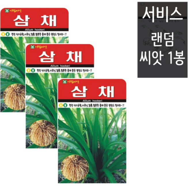 삼채씨앗 100립 ( 3봉 + 랜덤씨앗1봉 ) 삼채 뿌리 약초 씨앗 민속채소, 1개