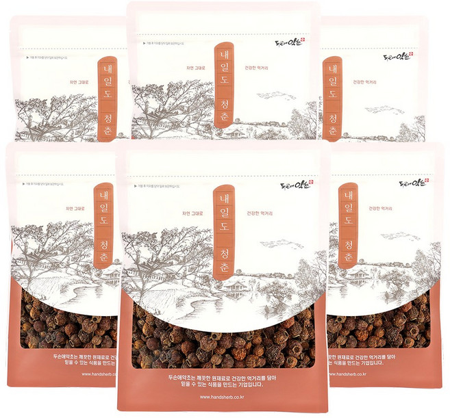 두손애약초 국산 말린 산사 건조 산사자 열매 차, 300g, 6개