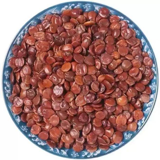 산조인 볶음 산조인 굿 가성비 한방재료 수면 진정 차 JK4, 100g, 1개