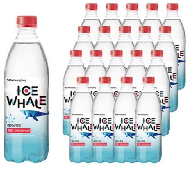 광동제약 아이스웨일 자몽 탄산음료, 500ml, 60개