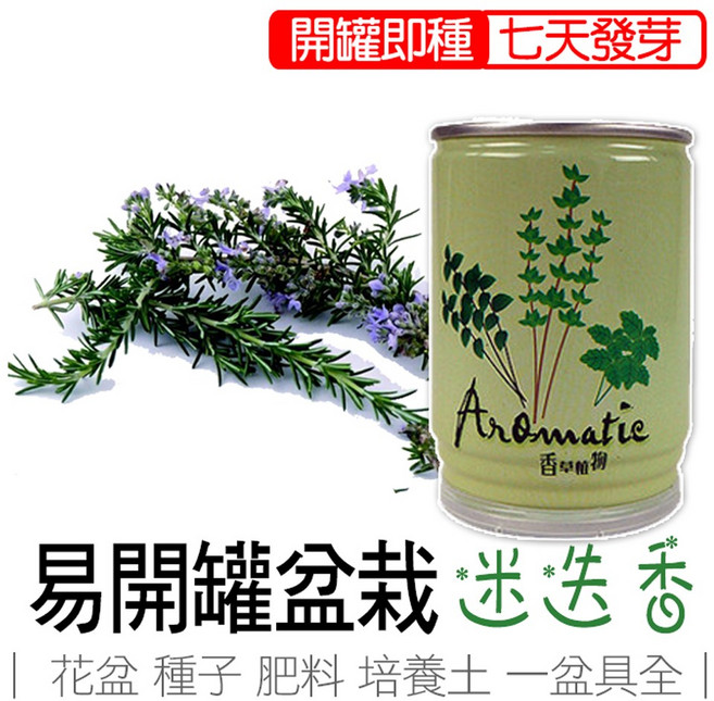 iPlant 迷迭香 易開罐頭盆栽