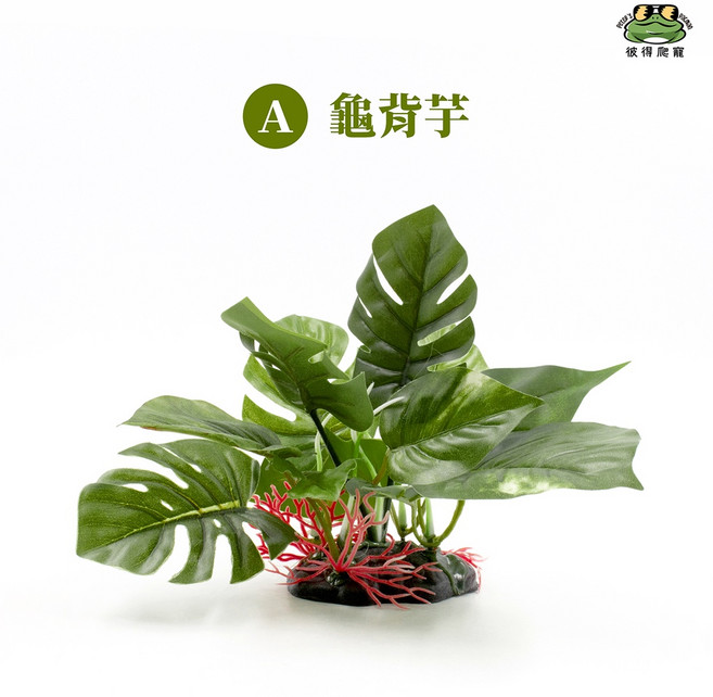 彼得爬寵 仿真芋葉植物 龜背芋, 1個, A.龜背芋