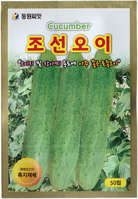 동원 조선 오이 씨앗 50립, 1개