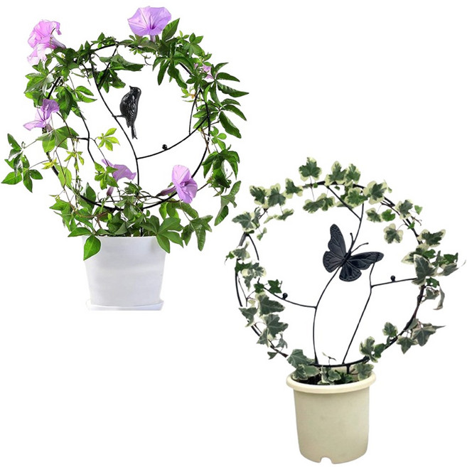 단비루리 원형 넝쿨 식물 지지대, 2개