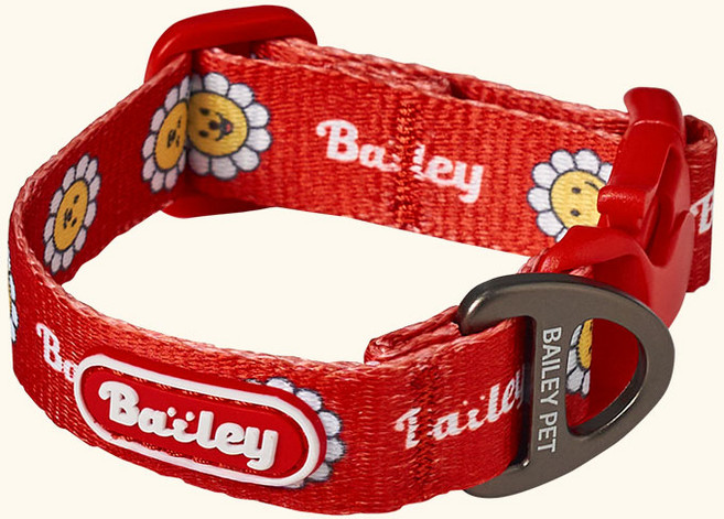베일리펫 강아지 소형견 중형견 산책 데이지 워키 목줄, 1개, 레드