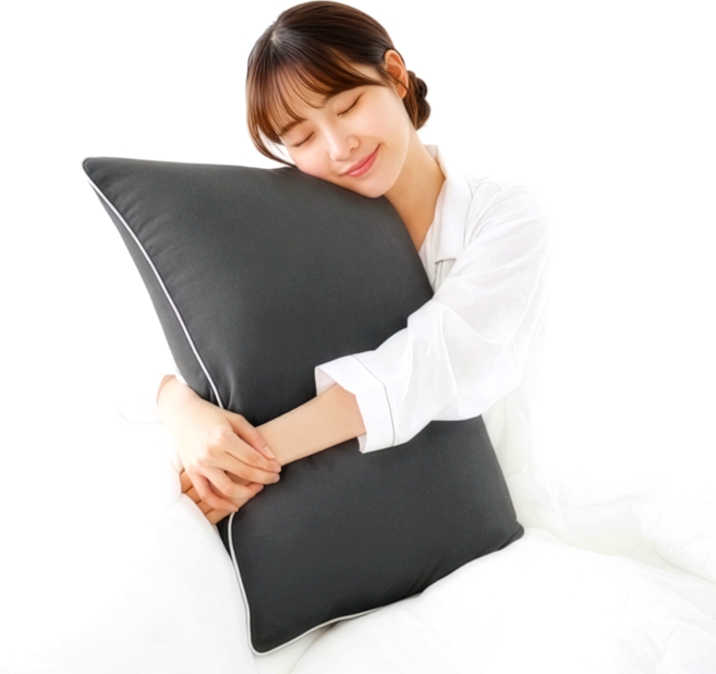 아누베오 하루의온도 60수 고밀도 순면 베개 2개, 굿나잇그레이