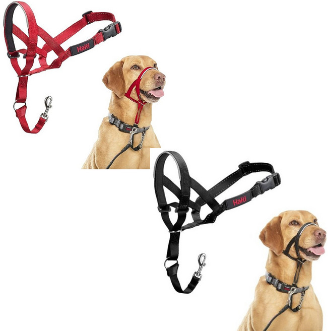 Company of Animals 바스커빌 헐티 헤드컬러 강아지 목줄 입마개 헤드 컨트롤, 1개, 레드 [사이즈2]