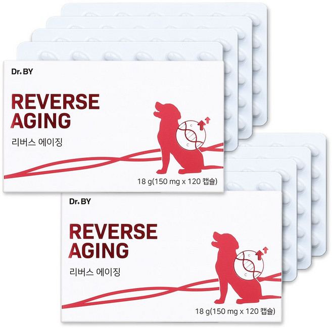 닥터바이 리버스에이징 강아지 항산화제 항산화 노견 영양제 노화 방지, 2세트, 면역/항산화, 120정