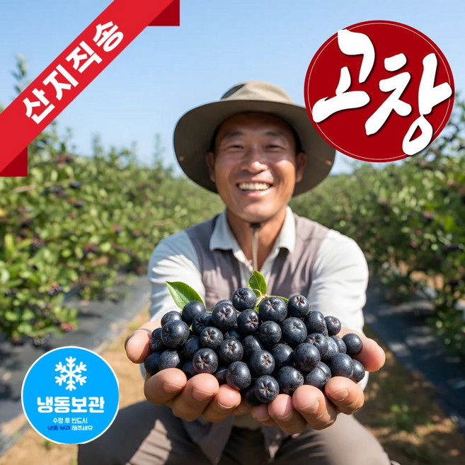 더맛곳간 국내산 고창 생 아로니아 생과 꼭지제거 국산 냉동, 1개, 1kg 특품