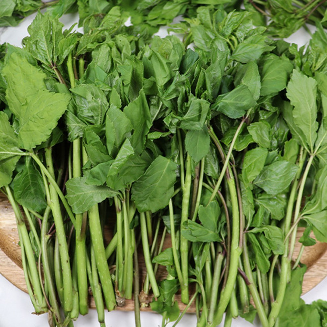 경북 청송 오가피순 오가피나물 400그램 1키로 청송나물 봄나물 국내산, 1세트, 1kg