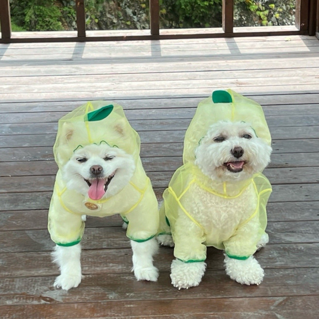 후르츠 강아지 해충방지 모기장 올인원 진드기 방지 애견 메쉬 코코리베 강아지옷 S, 화이트, 1개