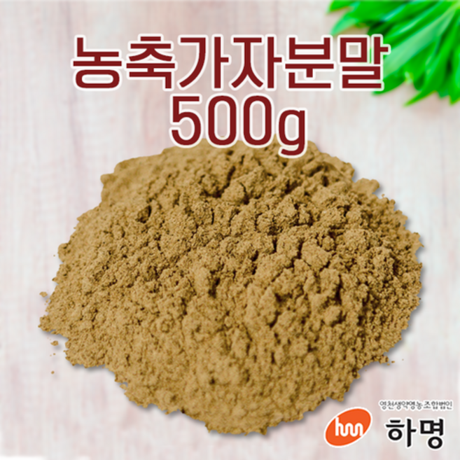 농축 가자 분말 500g 천연염료 천연염색재료