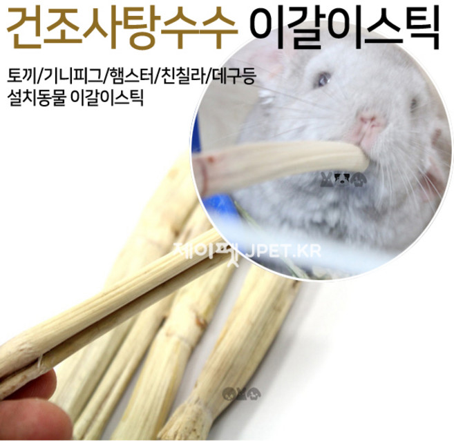 제이펫 건조 사탕수수 이갈이 스틱 20g 50g 100g 500g 토끼이갈이 햄스터 이갈이 Spet 각종사은품이 수두룩~~!, 1개