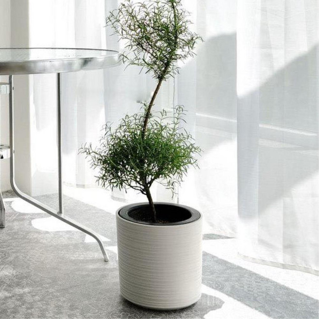 세련된 가로라인 플라스틱화분 30x30cm 대형 이쁜화분, 1개, 연베이지