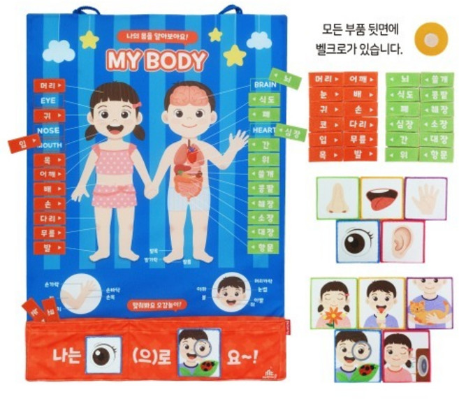 MC3045 차트소중한나의몸배우기, 1개