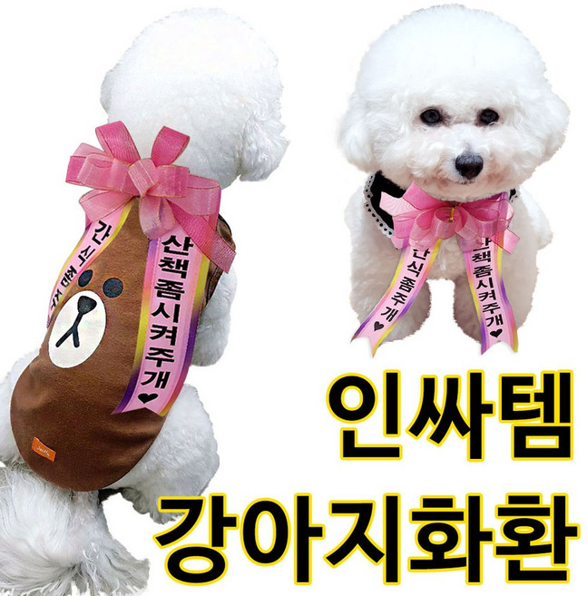 설렘하우스 강아지화환 개화환 생일 축하 인간화환 애견인 꽃화환