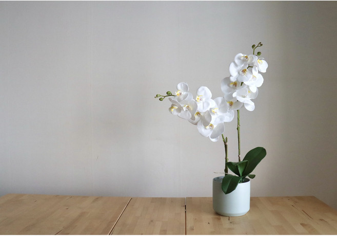 조아조화 호접란 화분(완성품), 주문제작기간(2~3일소요), 1개