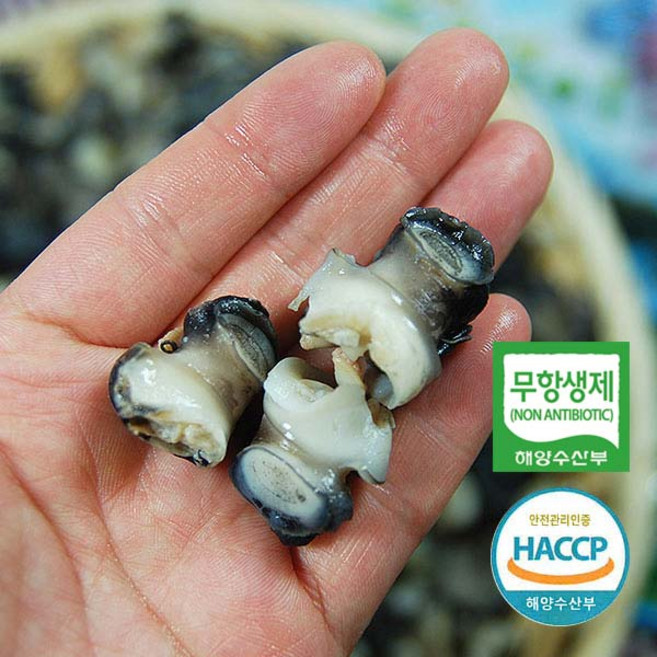 [산지직송] 양평의 맑은 물에서 자란 깨끗한 무항생제 우렁이 1kg (HACCP인증) 실중량 700g, 1개