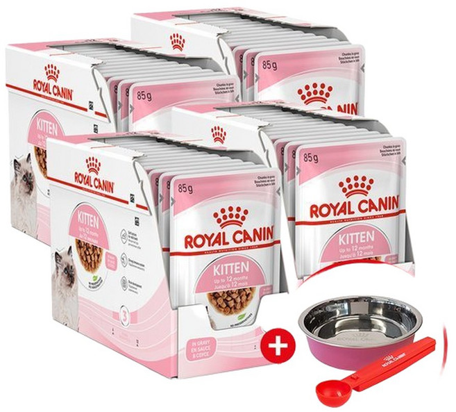 로얄캐닌 고양이사료 그레이비 키튼 파우치 85g x 48P 습식파우치 모음집, 48개