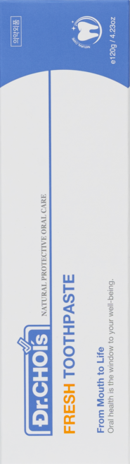 닥터초이스 좋은치약 플레쉬, 120g, 1개