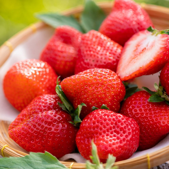 비교불가 무한달콤 산지직송 귀족딸기 비타베리, 1박스, 750g(특20구)