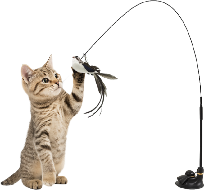 숍웨이브 고양이 새 깃털 롱와이어 고정 낚시대, 1개, 블랙