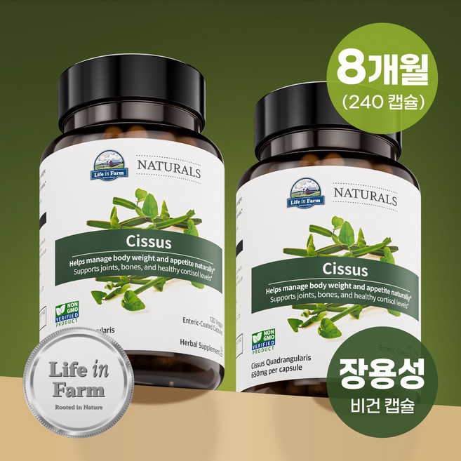 라이프인팜 시서스 100배농축 추출물 장용성 240비건캡슐 8개월분 시서스알약 가루, 2개, 120정