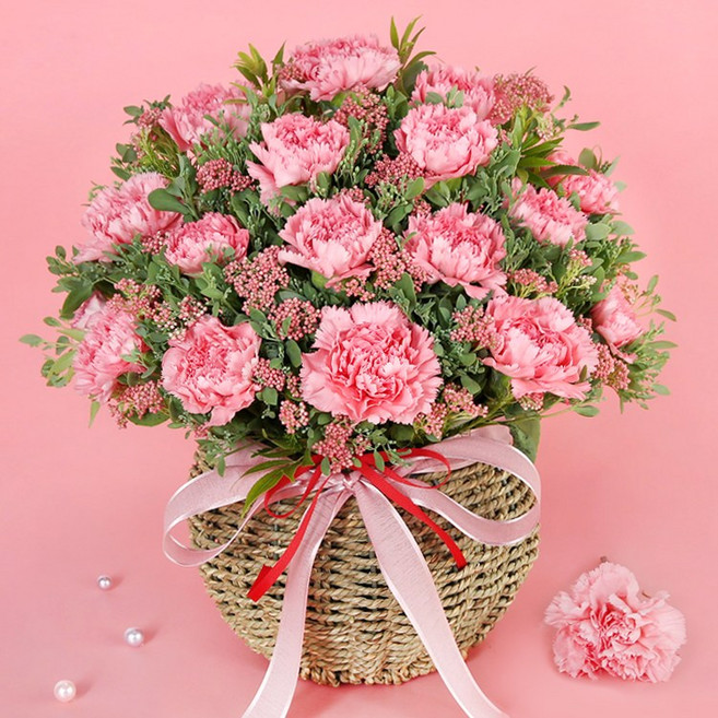 (오늘도착) 어버이날 카네이션 꽃바구니 핑크카네이션 생화 부모님선물 어버이날선물 카네이션꽃바구니 효도선물 당일꽃배달 [ST-A1941], 07.[A1941]-핑크빛카네이션