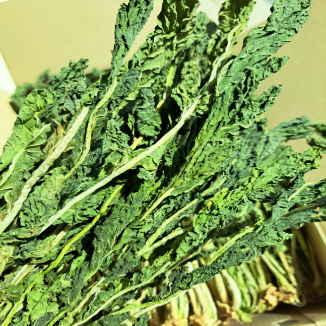 [산지직송] 26년 양구 펀치볼 자연건조 햇무청 건시래기, 1개, 1kg