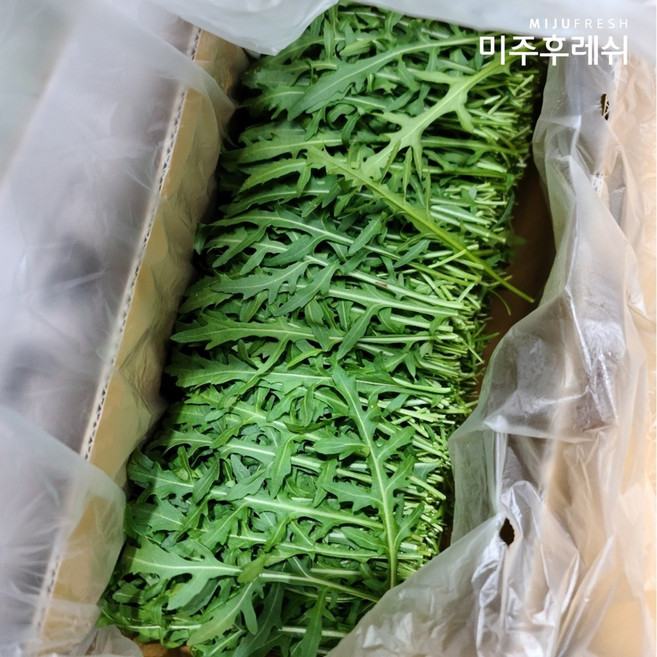 와일드 루꼴라 알싸한 향 샐러드 채소, 2kg, 1개