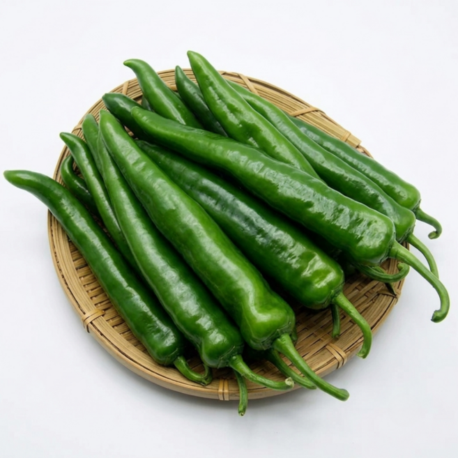국내산 오이고추 상특(새벽경매), 1박스, 2kg(상특)