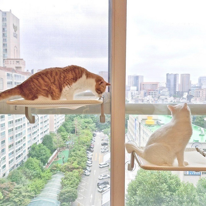 오르펫 고양이해먹 창문해먹 창틀 침대 캣타워 캣워크, 2개, 캣해먹 베이지