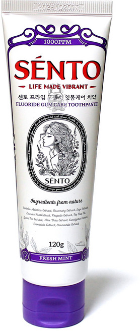 SENTO 프라임 고불소 잇몸케어 프레쉬민트향 치약, 120g, 2개