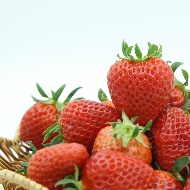 [주영마켓] 달달새콤 맛있는 딸기! 산지직송 논산 설향딸기, 1박스, 딸기 ( 설향 10구 + 킹스베리 10구 ) 750g