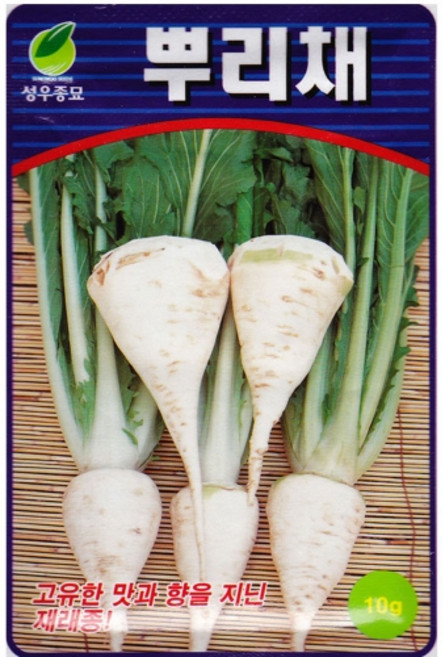 영농사 뿌리채 씨앗 10g 뿌리채씨, 1개